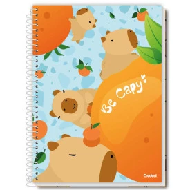 Caderno Universitário Espiral 1 Matéria 80 FLS  Capivara 286081